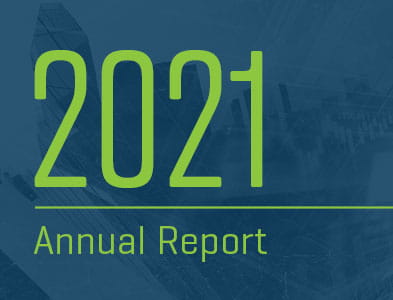 Rapport annuel 2021 de Stout