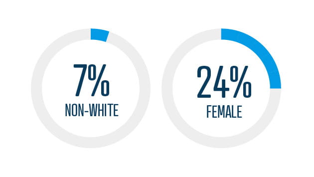 Firmwide Demographics (2013)