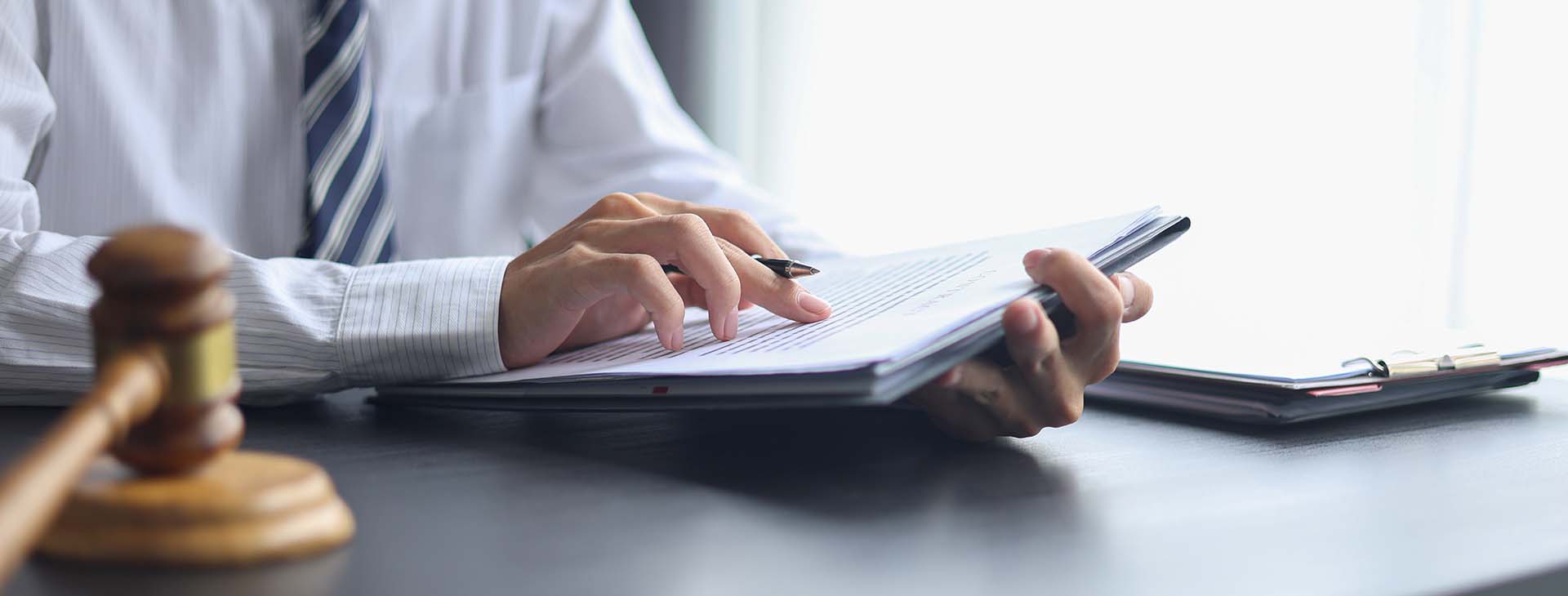 professional reviewing legal documents