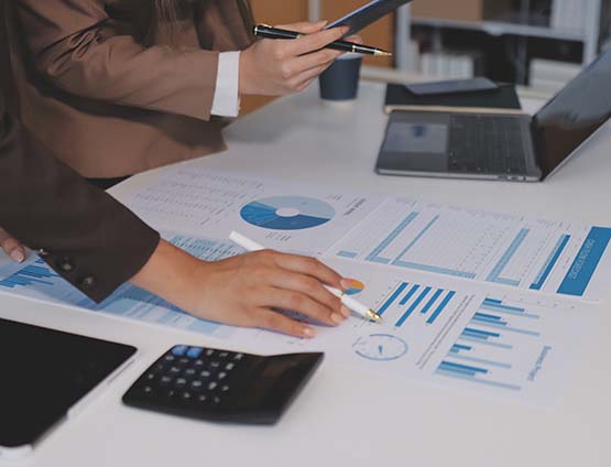 business professionals reviewing financial data