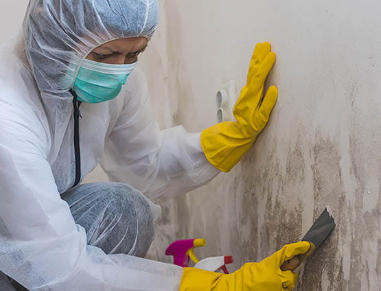 Photo of mold remediation