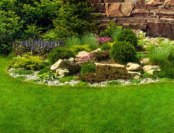 professional residential landscaping job with plants and rocks