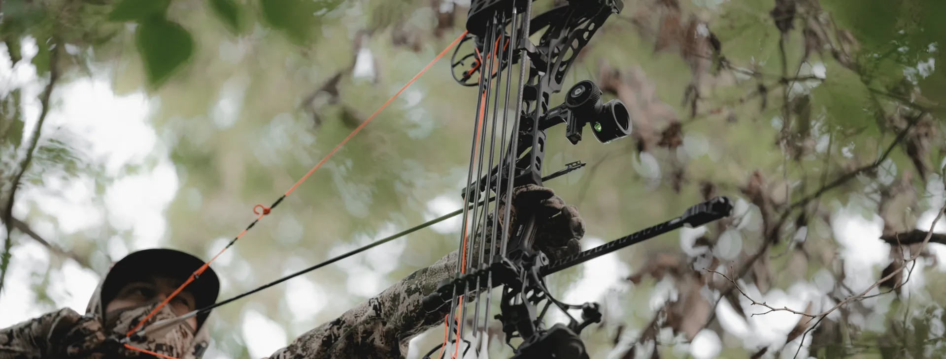 image of man using archery in wilderness