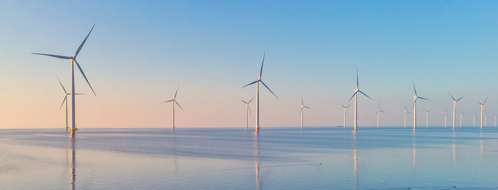 windmills