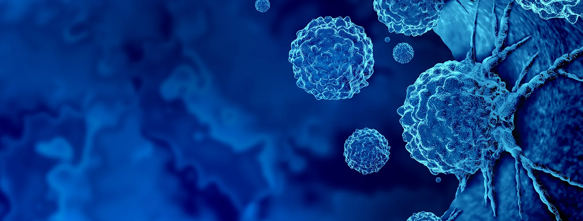 Oncology Outlook Companion Guide
