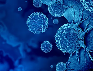 Oncology Outlook Companion Guide