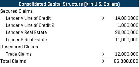 AMG Consolidated Capital Structure