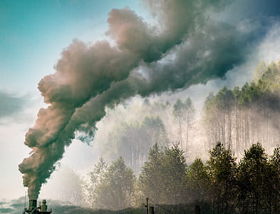 factory emitting smoke into forest