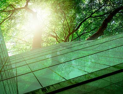 Sustainable glass office building with trees