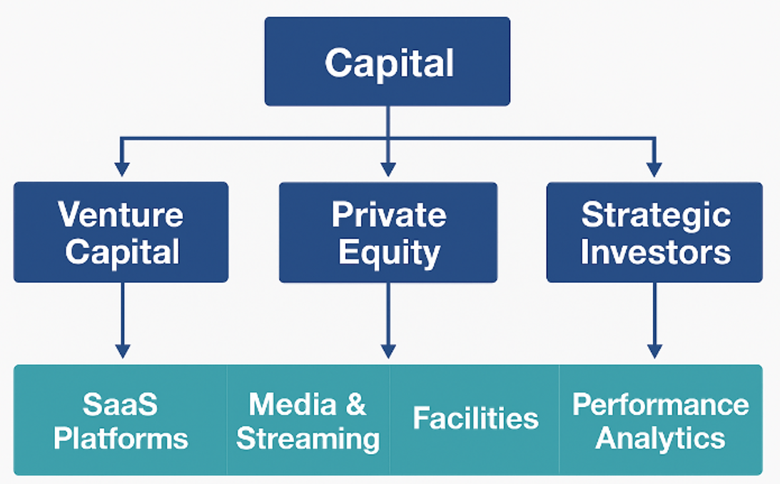 Future Capital Flow Youth Sports