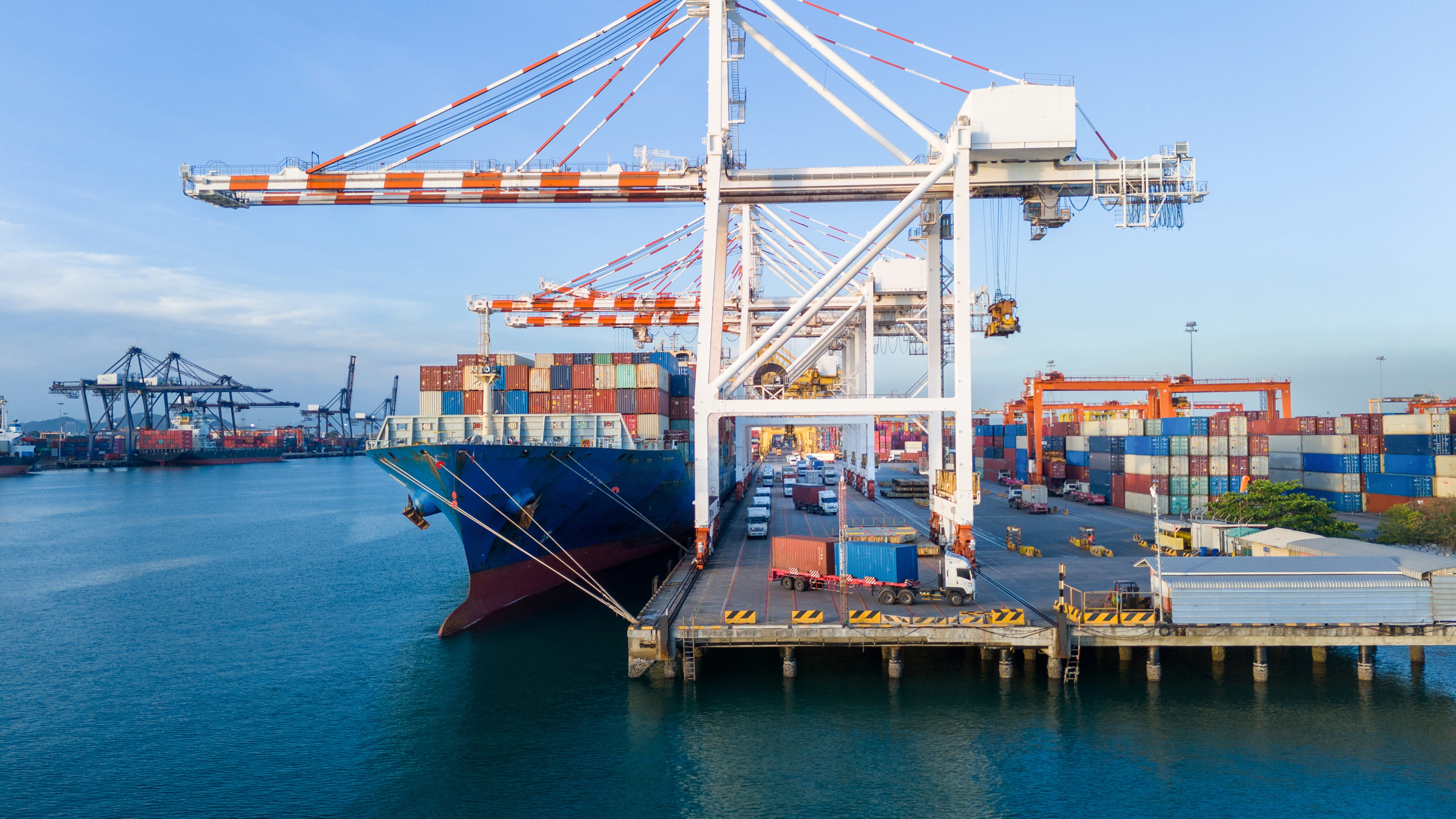 supply chain