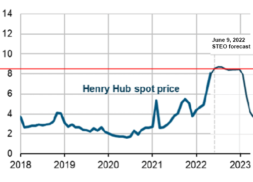 forecast of Henry Hub gas price