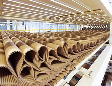 Image of paperboard production