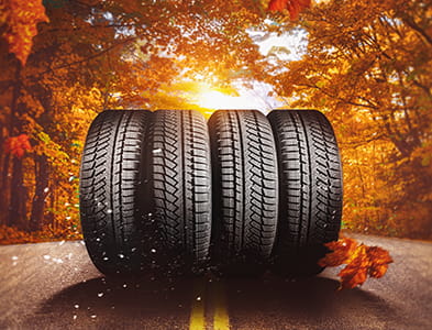 Tires in Fall