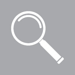 Due Diligence icon