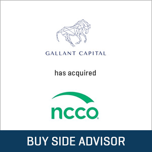 Stout advised Gallant Capital Partners on its acquisition of National Checking Company.